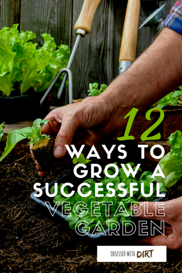 12 Ways To Grow a Successful Vegetable Garden (inc.Best Layouts) Designing the perfect vegetable garden layout isn’t easy. There are so many things to consider! Your vegetables will need a lot of sun, water, nutrients and loving care to grow. That's why we've created the ultimate list of the best 12 vegetable garden layouts and plans to help you grow a super productive vegetable garden. #thehappygardeninglife #homegarden #growyourownfood #epicgardening