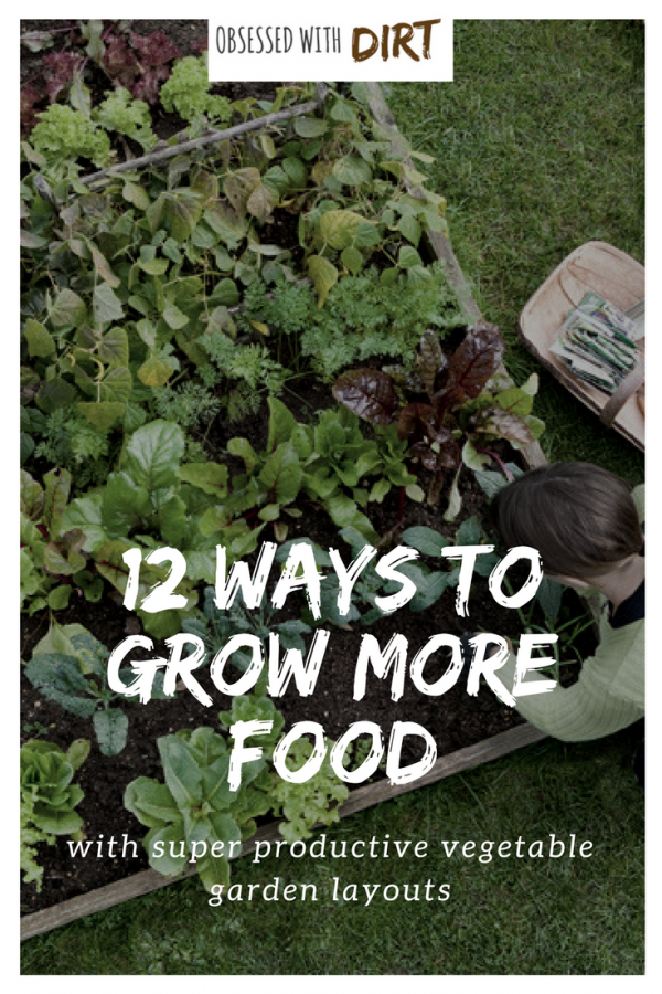 12 Ways To Grow a Successful Vegetable Garden (inc.Best Layouts) Designing the perfect vegetable garden layout isn’t easy. There are so many things to consider! Your vegetables will need a lot of sun, water, nutrients and loving care to grow. That's why we've created the ultimate list of the best 12 vegetable garden layouts and plans to help you grow a super productive vegetable garden. #thehappygardeninglife #homegarden #growyourownfood #epicgardening