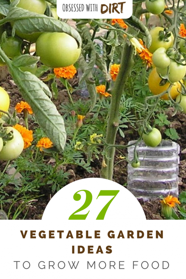 27 of the best vegetable garden ideas using recycled materials that you can find anywhere. Make your own fertilizer and weed killers, grow more food in small spaces and more vegetable garden ideas! Check it out #vegetablegarden #thehappygardeninglife #urbanorganicgardener #organicgardening