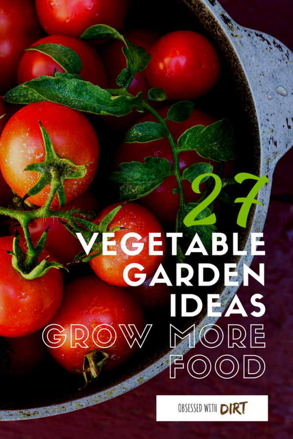 27 of the best vegetable garden ideas using recycled materials that you can find anywhere. Make your own fertilizer and weed killers, grow more food in small spaces and more vegetable garden ideas! Check it out #vegetablegarden #thehappygardeninglife #urbanorganicgardener #organicgardening
