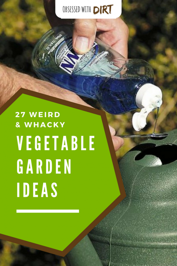 27 of the best vegetable garden ideas using recycled materials that you can find anywhere. Make your own fertilizer and weed killers, grow more food in <a href=