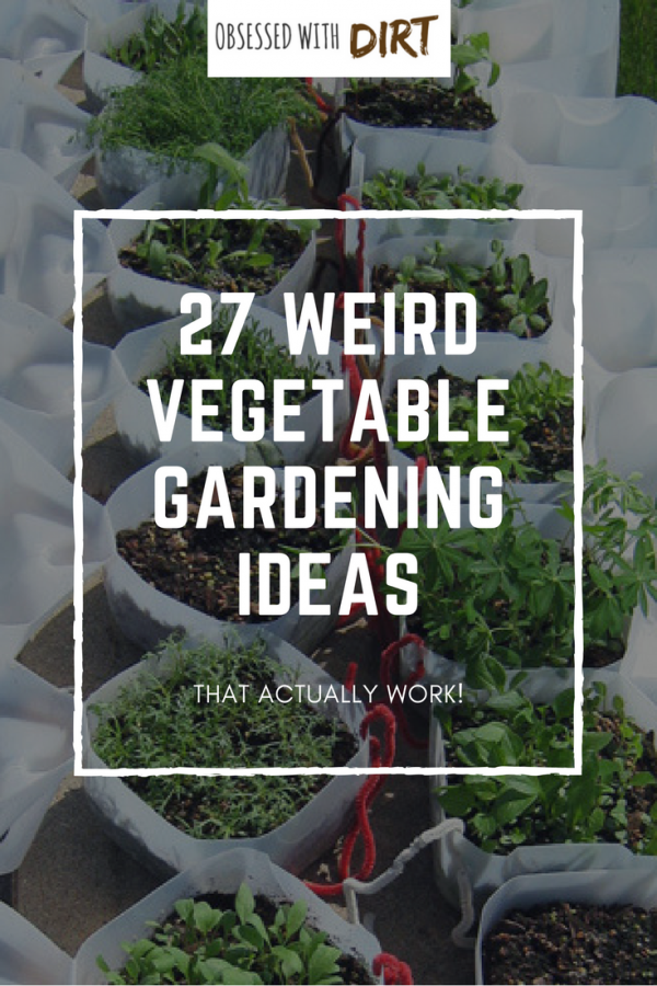 27 of the best vegetable garden ideas using recycled materials that you can find anywhere. Make your own fertilizer and weed killers, grow more food in <a href=