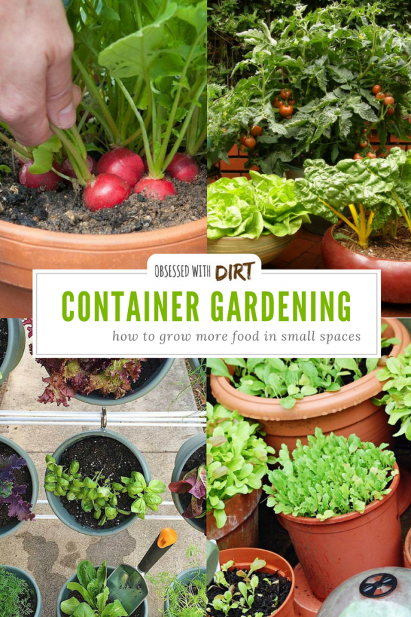 Container Vegetable Gardening - Grow More Veggies In Small Gardens Container vegetable gardens can have higher yields than your average vegetable garden. Growing your vegetables in containers is easy and efficient too, you'll learn how to grow vegetables easily and get the best use out of your space. #thehappygardeninglife #growyourown #greenthumb #homegarden