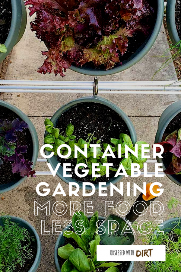 Container vegetable gardens can have higher yields than your average vegetable garden. Growing your vegetables in containers is easy and efficient too, you'll learn how to grow vegetables easily and get the best use out of your space. #thehappygardeninglife #growyourown #greenthumb #homegarden