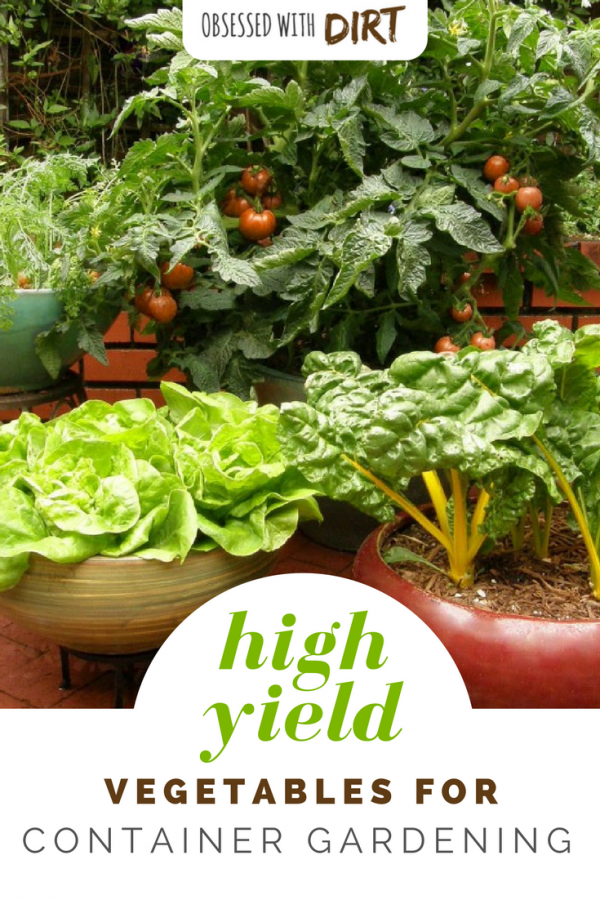 Container vegetable gardens can have higher yields than your average vegetable garden. Growing your vegetables in containers is easy and efficient too, you'll learn how to grow vegetables easily and get the best use out of your space. #thehappygardeninglife #growyourown #greenthumb #homegarden