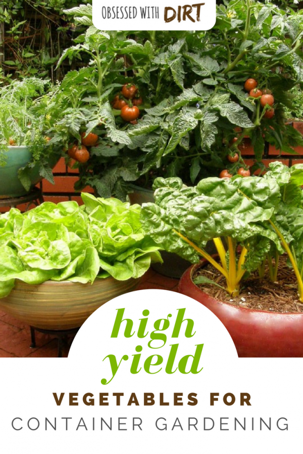 Container Vegetable Gardening - Grow More Veggies In Small Gardens Container vegetable gardens can have higher yields than your average vegetable garden. Growing your vegetables in containers is easy and efficient too, you'll learn how to grow vegetables easily and get the best use out of your space. #thehappygardeninglife #growyourown #greenthumb #homegarden