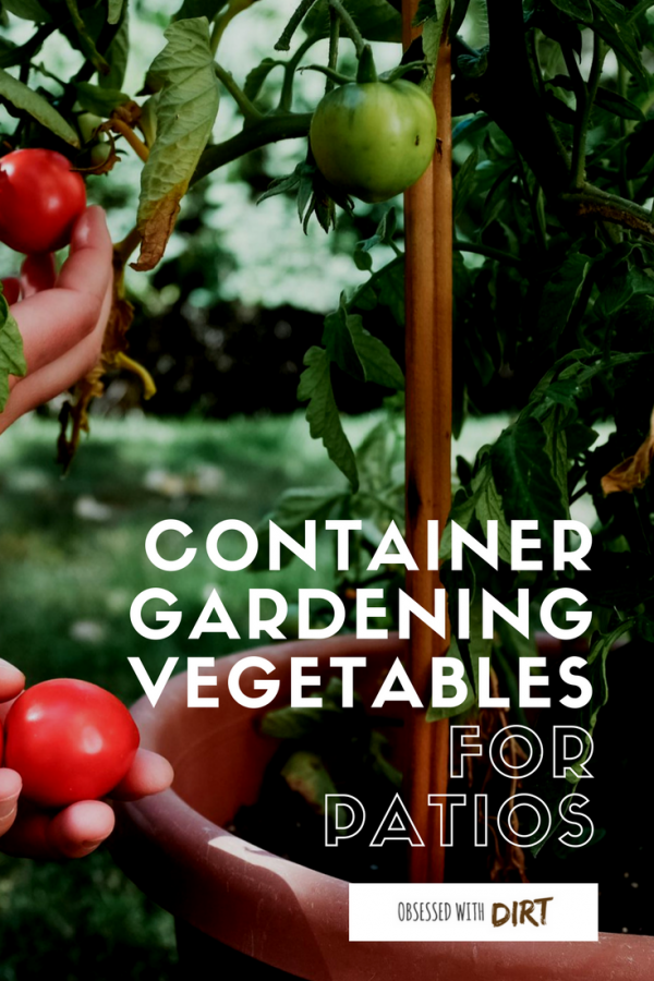 Container vegetable gardens can have higher yields than your average vegetable garden. Growing your vegetables in containers is easy and efficient too, you'll learn how to grow vegetables easily and get the best use out of your space. #thehappygardeninglife #growyourown #greenthumb #homegarden