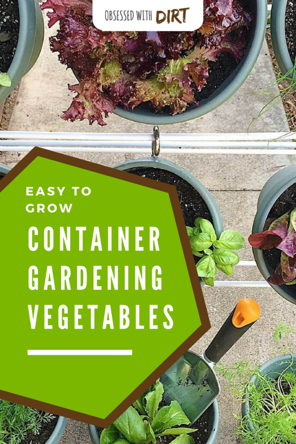 Container vegetable gardens can have higher yields than your average vegetable garden. Growing your vegetables in containers is easy and efficient too, you'll learn how to grow vegetables easily and get the best use out of your space. #thehappygardeninglife #growyourown #greenthumb #homegarden