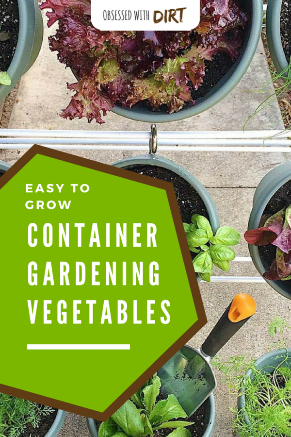 Container Vegetable Gardening - Grow More Veggies In Small Gardens Container vegetable gardens can have higher yields than your average vegetable garden. Growing your vegetables in containers is easy and efficient too, you'll learn how to grow vegetables easily and get the best use out of your space. #thehappygardeninglife #growyourown #greenthumb #homegarden