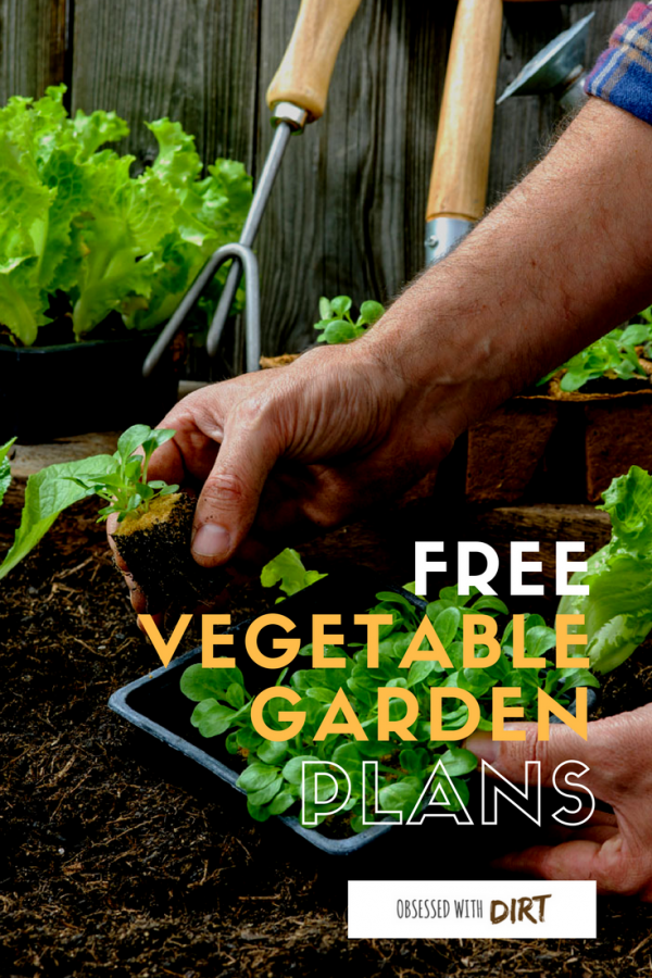 Four super easy vegetable garden layouts. There's one for every size garden with very clear instructions and a free vegetable garden planting plan too! If you're a beginner gardener looking for easy to follow garden layouts and plans then read and share this. #thehappygardeninglife #mygarden #epicgardening #growsomethinggreen
