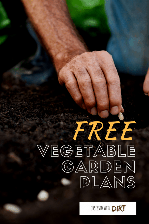 Four super easy vegetable garden layouts. There's one for every size garden with very clear instructions and a free vegetable garden planting plan too! If you're a beginner gardener looking for easy to follow garden layouts and plans then read and share this. #thehappygardeninglife #mygarden #epicgardening #growsomethinggreen