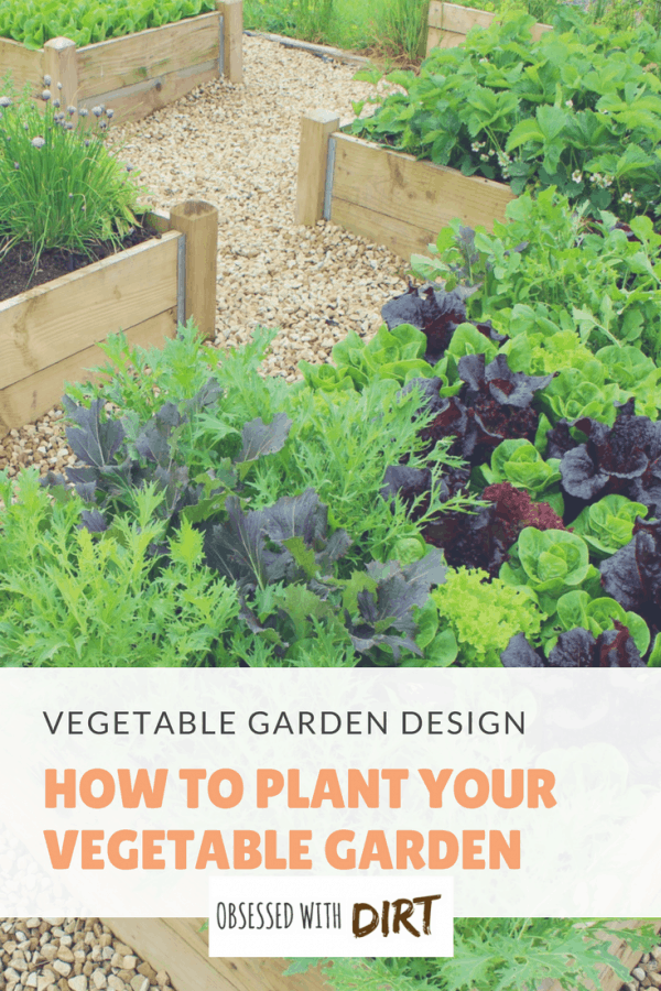 Starting a new vegetable garden can feel overwhelming. Proper vegetable garden design takes research, planning and plenty of experience. That’s why we’ve put together this cheat sheet of the best vegetable garden designs for backyard and beginner vegetable gardeners. Check it out! #growyourownfood #vegetablegarden #organicgardening #urbanfarming