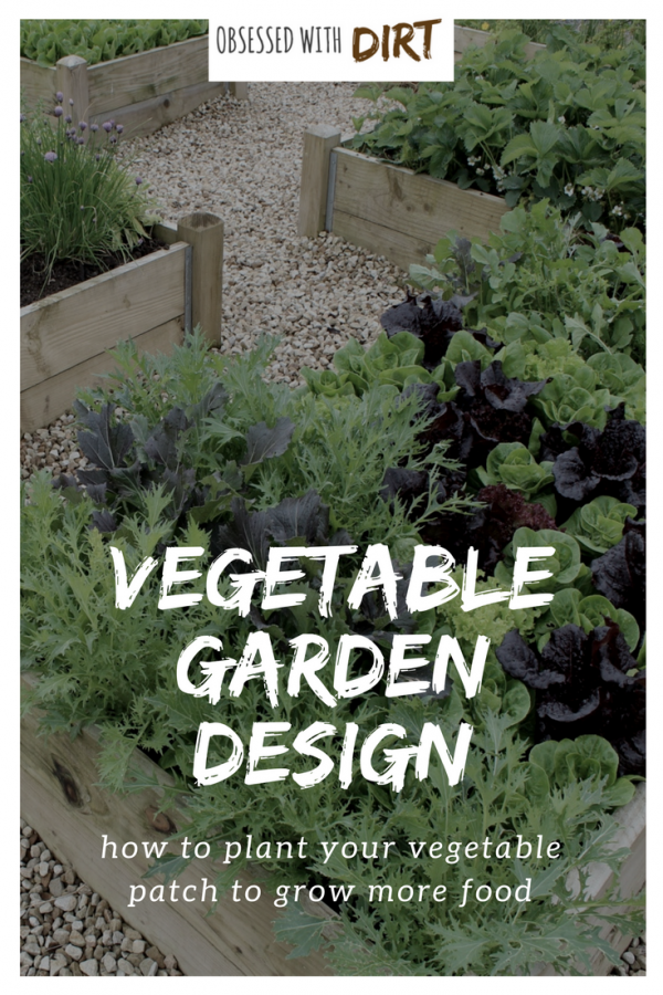 Starting a new vegetable garden can feel overwhelming. Proper vegetable garden design takes research, planning and plenty of experience. That’s why we’ve put together this cheat sheet of the best vegetable garden designs for backyard and beginner vegetable gardeners. Check it out! #growyourownfood #vegetablegarden #organicgardening #urbanfarming