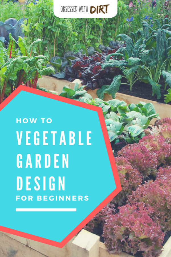 Starting a new vegetable garden can feel overwhelming. Proper vegetable garden design takes research, planning and plenty of experience. That’s why we’ve put together this cheat sheet of the best vegetable garden designs for backyard and beginner vegetable gardeners. Check it out! #growyourownfood #vegetablegarden #organicgardening #urbanfarming