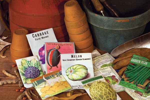 A collection of Seed Packets