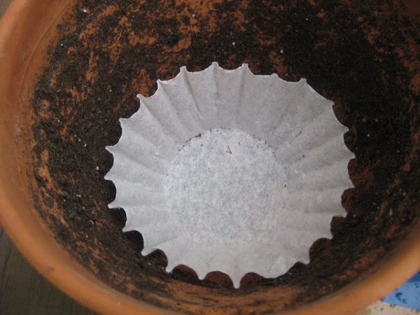 Coffee Filters