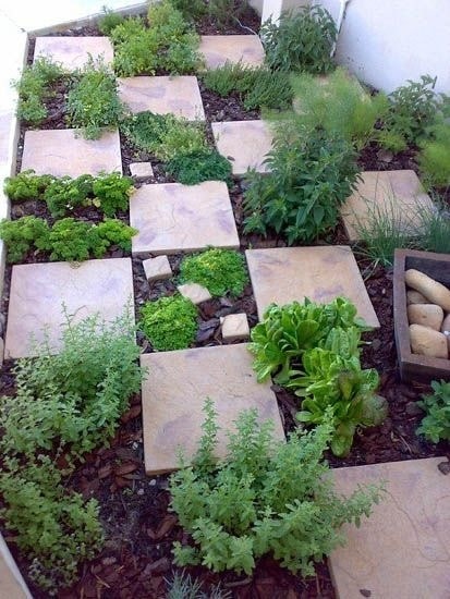 Herb Stepping Stone Garden