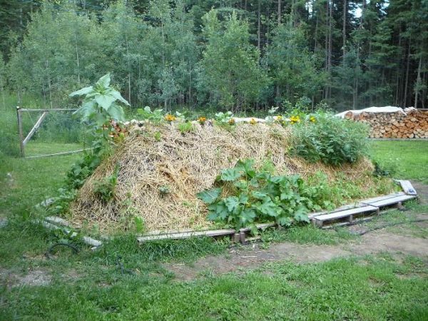 Mounds and Hugelkultur Vegetable Garden Beds