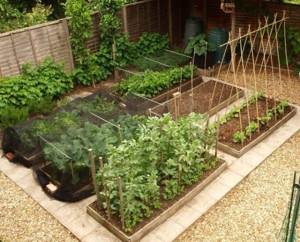 Free Vegetable Garden Layout Plans And Planting Guides