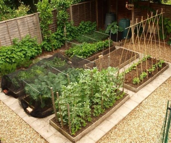 Free Vegetable Garden Layout Plans and Planting Guides