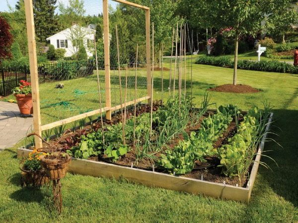 Free Vegetable Garden Layout Plans And Planting Guides