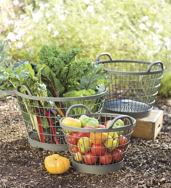 Vegetable Basket