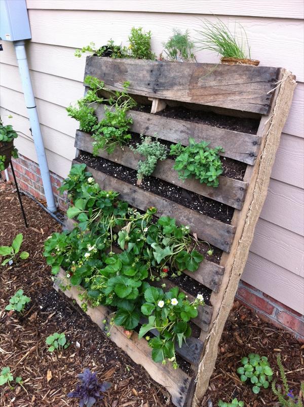 Recycled Pallet Garden