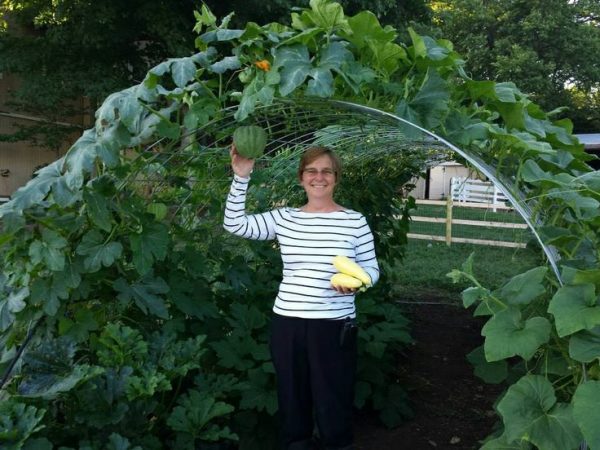 Squash Arch