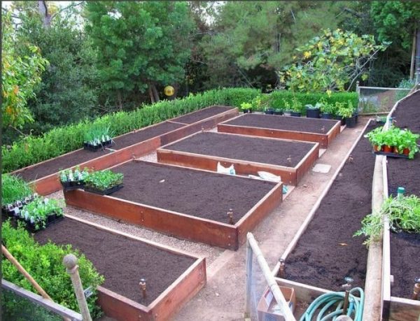 Free Vegetable Garden Layout Plans And Planting Guides - Free Garden Designs And Layouts