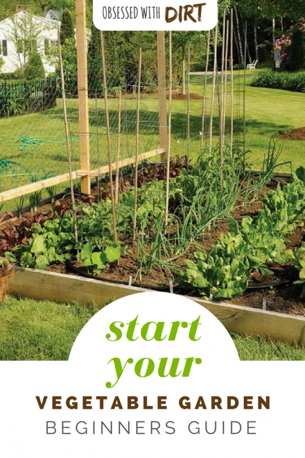 Vegetable Gardening For Beginners How To Plan Your First Patch