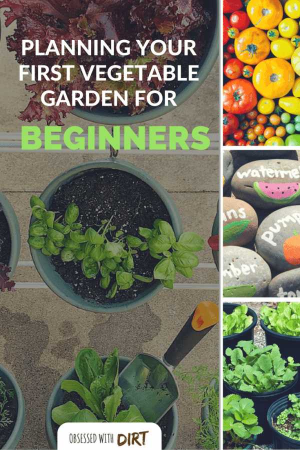 Vegetable Gardening For Beginners: Planning Your First Plot I love this beginner vegetable gardening guide. Absolutely everything is covered from choosing the best location to planting your first crop. You'll learn how to select the best vegetable garden site, when and how to grow vegetables and how to improve your soil for the best harvests. Find out everything you need to know. #thehappygardeninglife #growyourownfood #vegetablegarden #homegarden