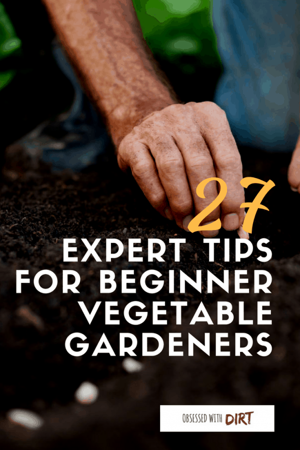 When you first get into vegetable gardening there’s a lot of things to learn. It’s a steep learning curve for many new gardeners. That’s why we’ve created this big list of tips for vegetable gardening for beginners. You’ll learn all those little things that come with experience. Things like keeping detailed records of your crops and labeling plants so you know who’s who when it comes to harvest time. So what are you waiting for? It's time to get diggin' #growyourownfood #thehappygardeninglife #homegarden #urbanfarming