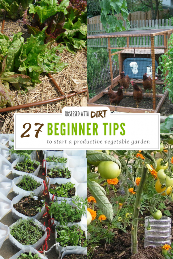 When you first get into vegetable gardening there’s a lot of things to learn. It’s a steep learning curve for many new gardeners. That’s why we’ve created this big list of tips for vegetable gardening for beginners. You’ll learn all those little things that come with experience. Things like keeping detailed records of your crops and labeling plants so you know who’s who when it comes to harvest time. So what are you waiting for? It's time to get diggin' #growyourownfood #thehappygardeninglife #homegarden #urbanfarming