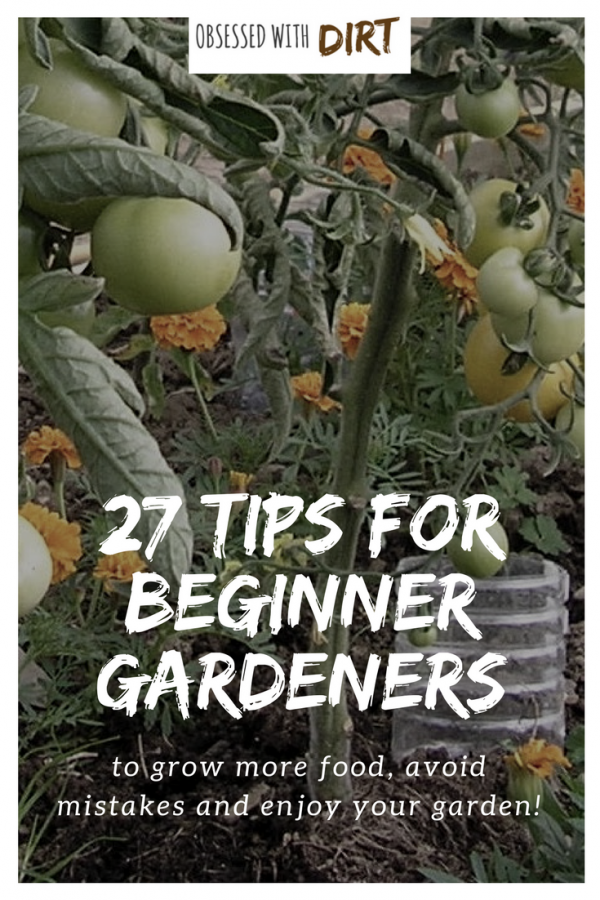 When you first get into vegetable gardening there’s a lot of things to learn. It’s a steep learning curve for many new gardeners. That’s why we’ve created this big list of tips for vegetable gardening for beginners. You’ll learn all those little things that come with experience. Things like keeping detailed records of your crops and labeling plants so you know who’s who when it comes to harvest time. So what are you waiting for? It's time to get diggin' #growyourownfood #thehappygardeninglife #homegarden #urbanfarming