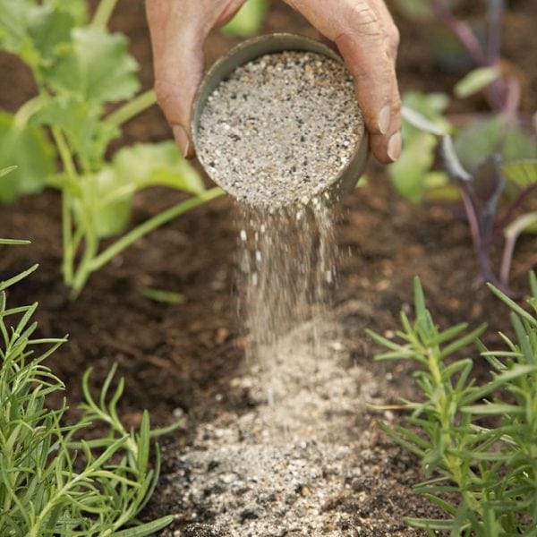 how to make a veg garden