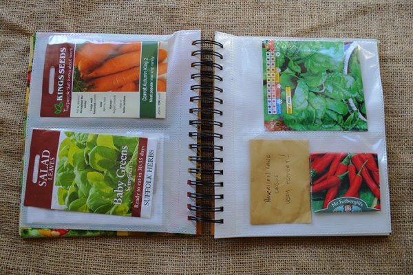 Seed Organizer