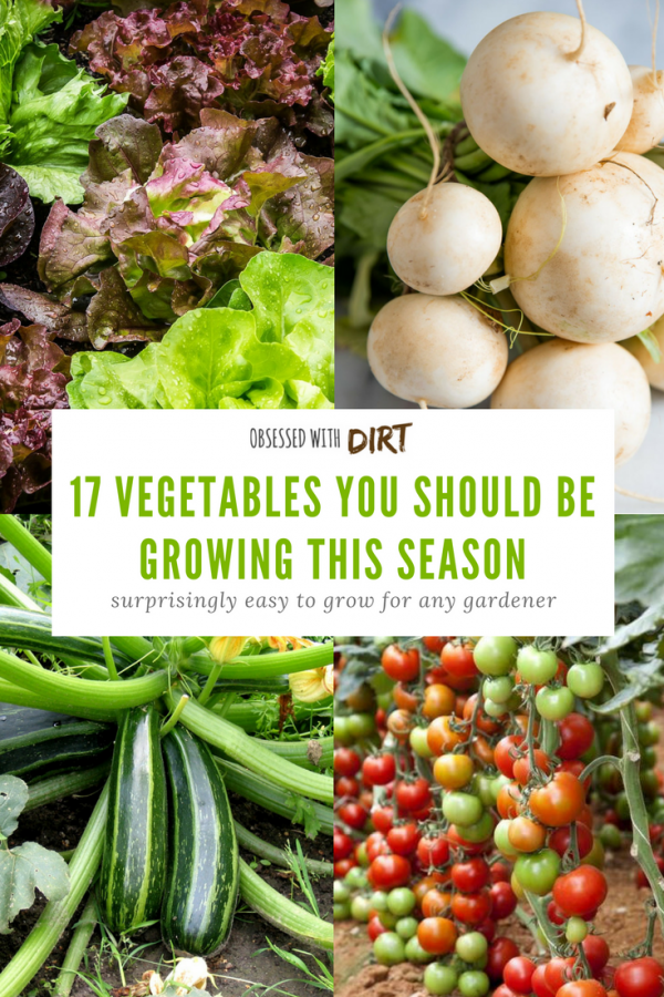 17 Vegetables You Should be Growing this Season