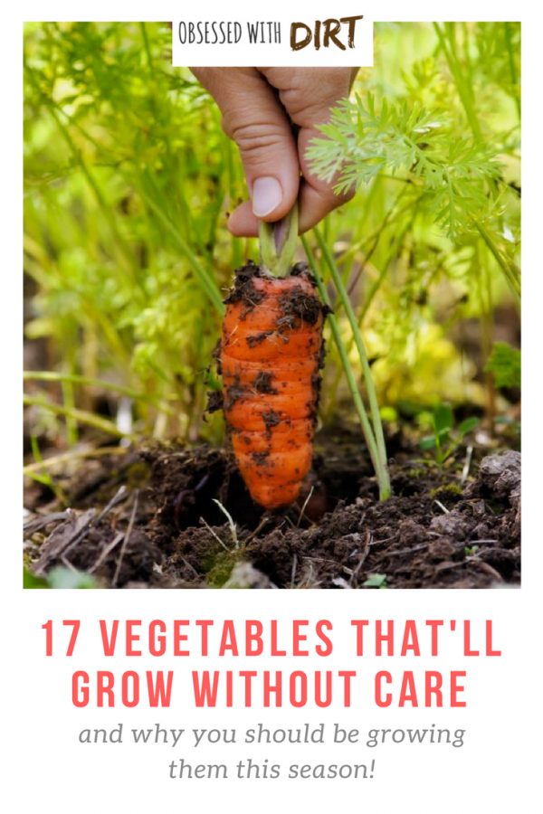 17b Vegetables that will Grow without Care