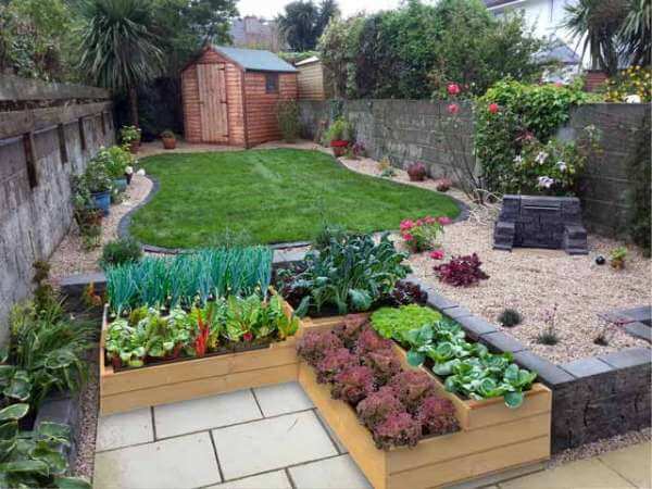 Raised bed vegetable garden