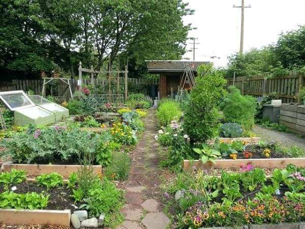 Mexican salsa garden