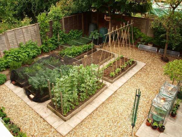 Square foot garden for Sounthern USA climate