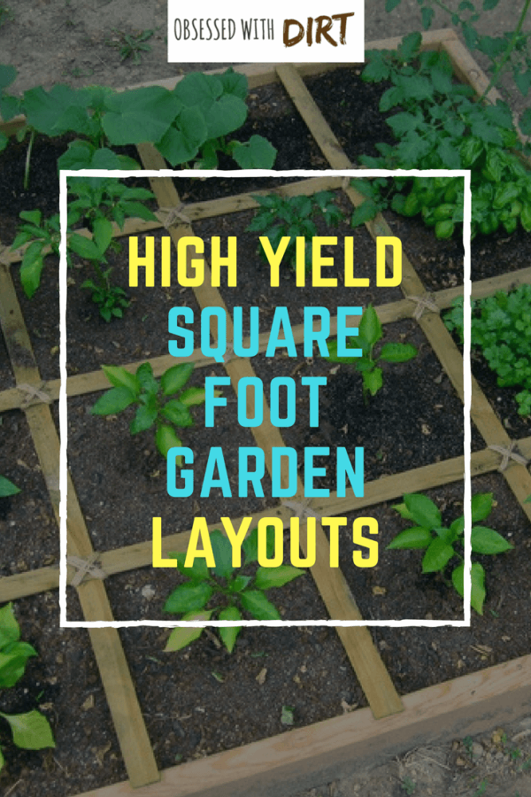 Learn everything you need to know about square foot gardening. Plus get free layouts to the best square foot gardening plans for high yields in small gardens. This is great for any gardener who is just starting a beginner vegetable garden and will help you plan, care for and harvest the most vegetables from your square foot garden. #thehappygardeninglife #organic #organicgardening #gardeningaustralia
