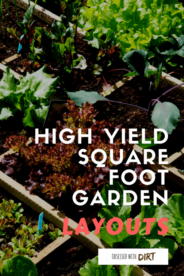 Learn everything you need to know about square foot gardening. Plus get free layouts to the best square foot gardening plans for <a href=