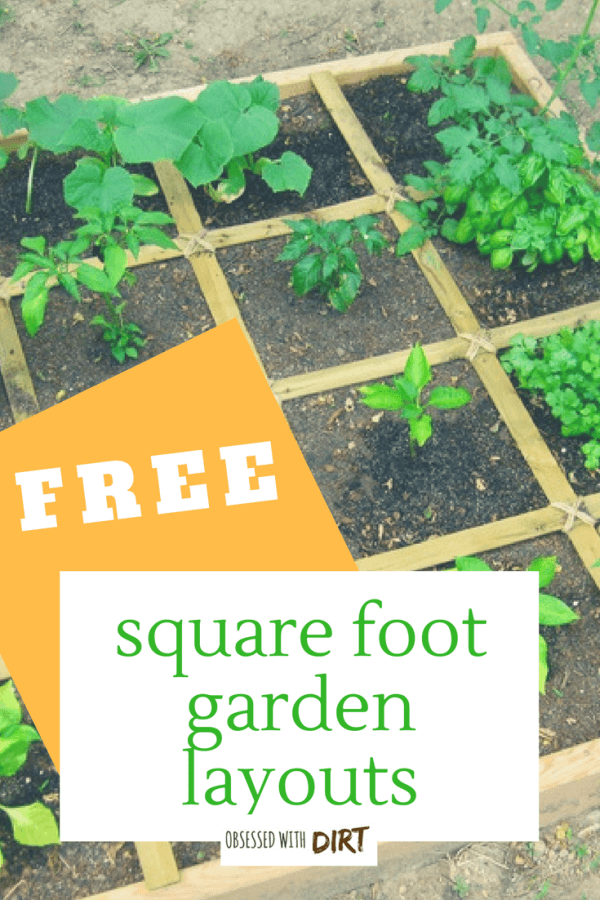 square foot garden planner spinach