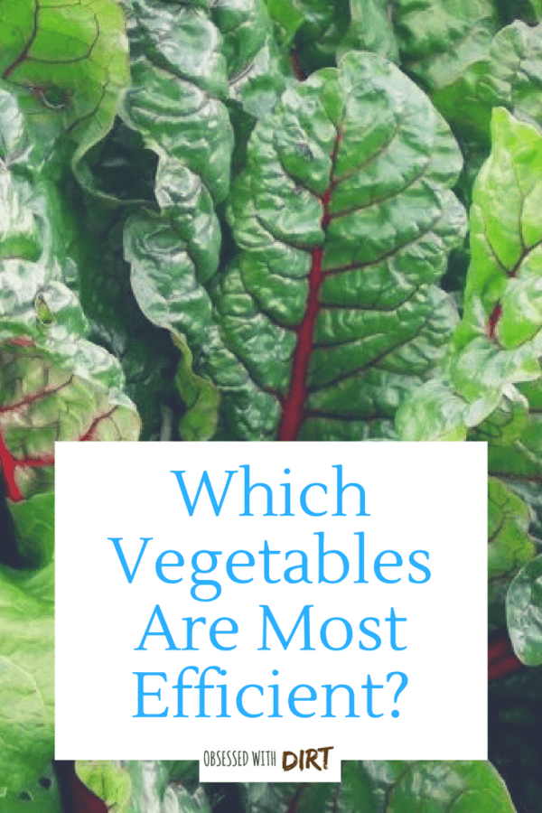 High yield vegetables are great for gardeners with small spaces. Gracing your dinner table with the produce from your own garden definitely enhances the flavor of food. It gives you a sense of pride, contentment, and joy. #thehappygardeninglife #homegarden #growyourown #growsomethinggreen