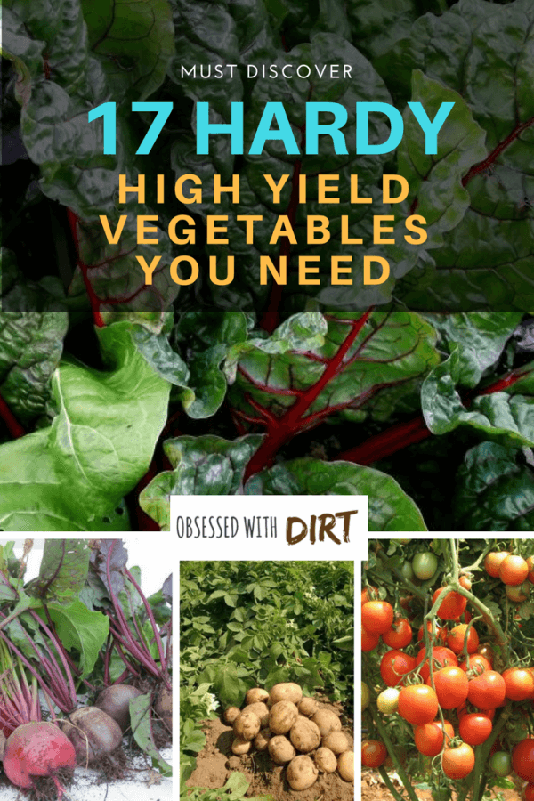 High yield vegetables are great for gardeners with small spaces. Gracing your dinner table with the produce from your own garden definitely enhances the flavor of food. It gives you a sense of pride, contentment, and joy. #thehappygardeninglife #homegarden #growyourown #growsomethinggreen