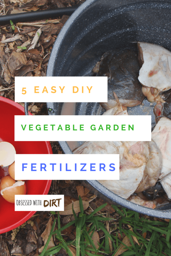 5 Of The World's Best Homemade Vegetable Garden Fertilizers