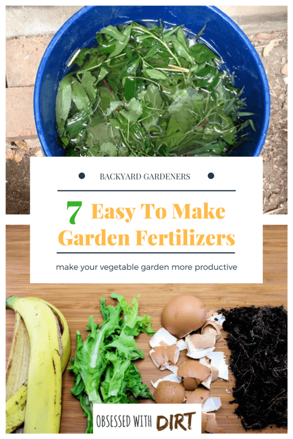 5 Of The World's Best Homemade Vegetable Garden Fertilizers