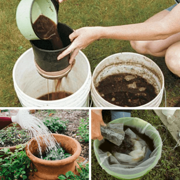 Preparing Simple Tea Fertilizer