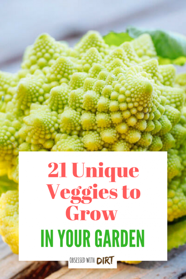 unique veggies to grow